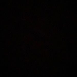 Meet your Posher, Marley